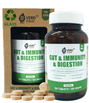 Gut & Immunity & Digestion Dog Tablets – 120 Tablets / 120g